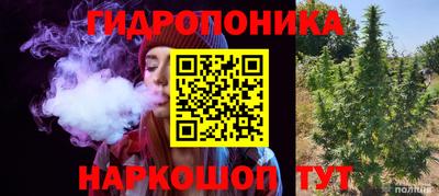 гашик Янаул
