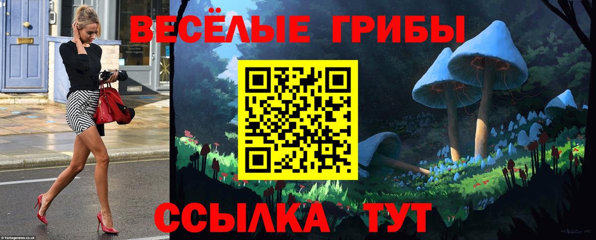 Галлюциногенные грибы Cubensis  Вход с VPN  Галлюциногенные грибы Psilocybine cubensis  Таганрог 
